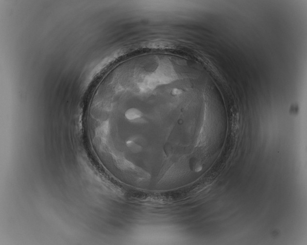 X0000111820727200907301256