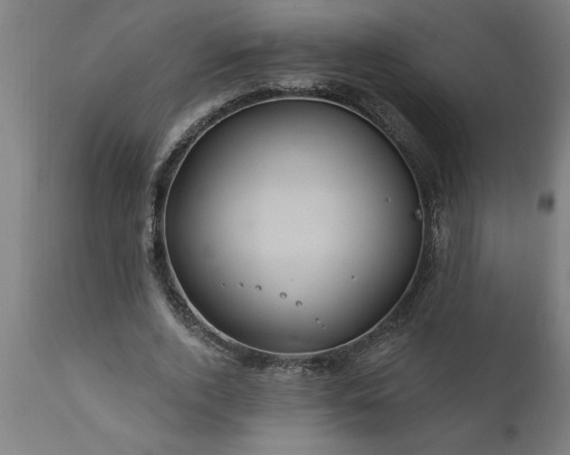 X0000111820728200907301256