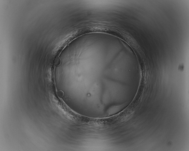 X0000111820729200907301256
