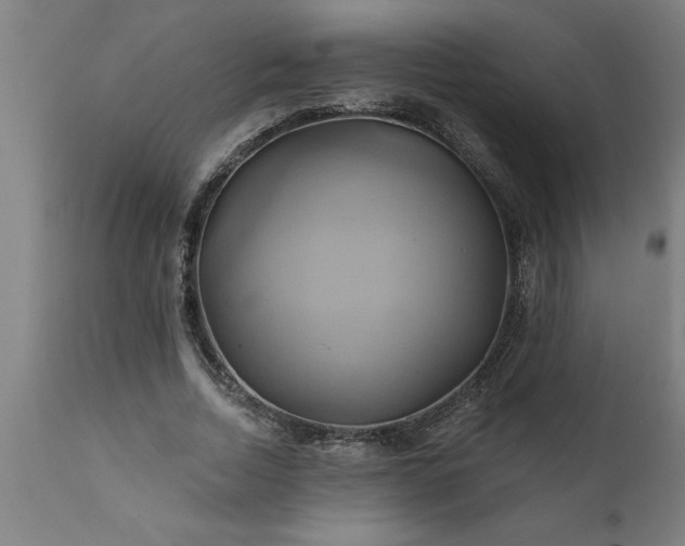 X0000111820730200907301256