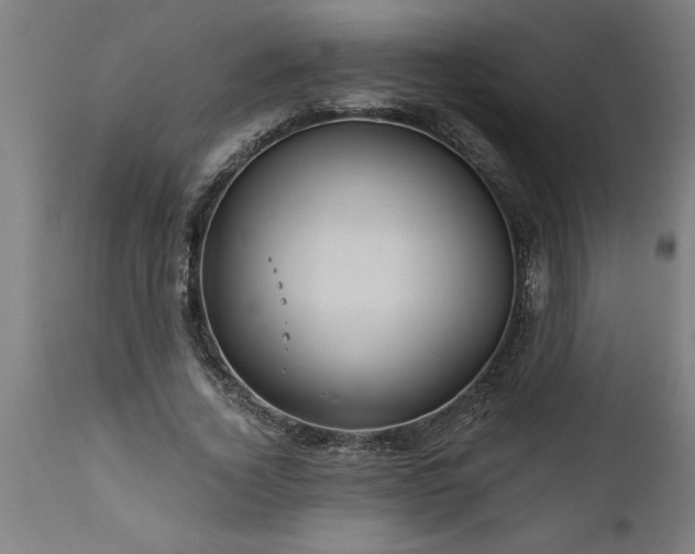 X0000111820732200907301256