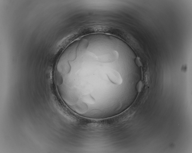 X0000111820733200907301256