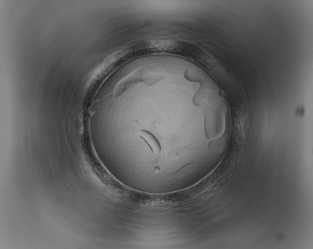 X0000111820734200907301256