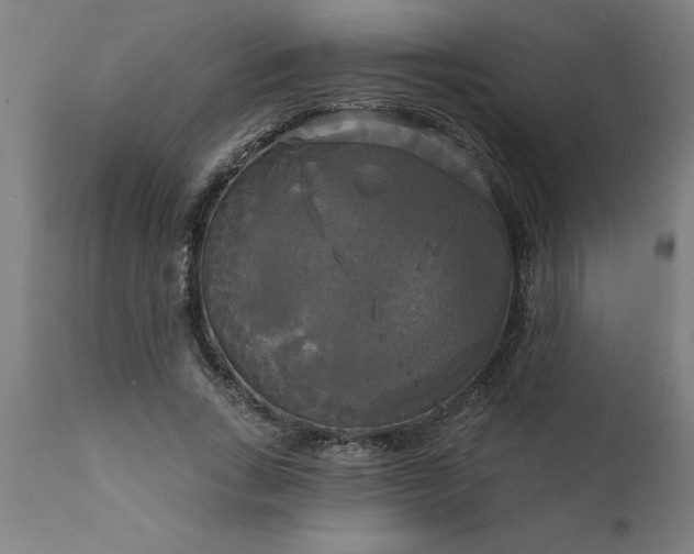X0000111820735200907301256
