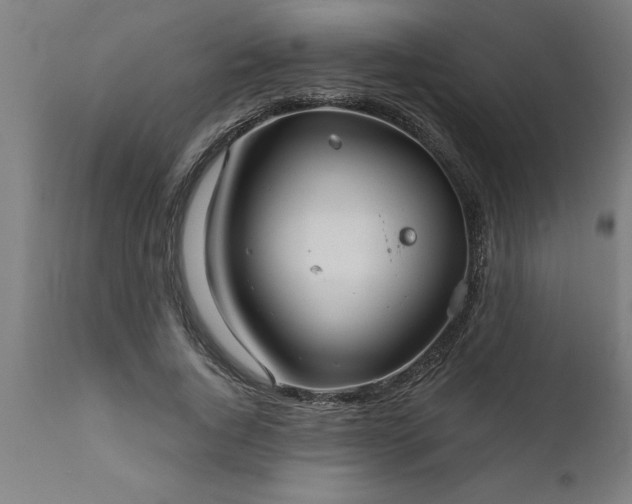X0000111820736200907301256