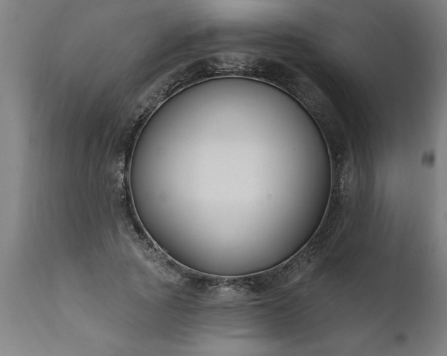 X0000111820737200907301256