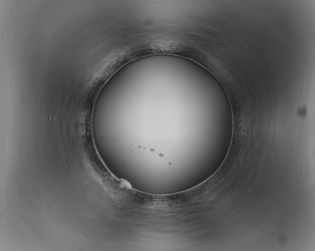 X0000111820738200907301256
