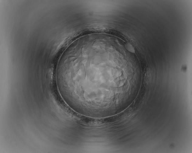 X0000111820739200907301256