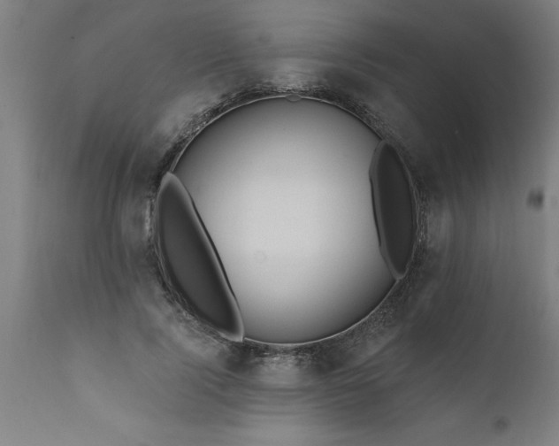 X0000111820740200907301256