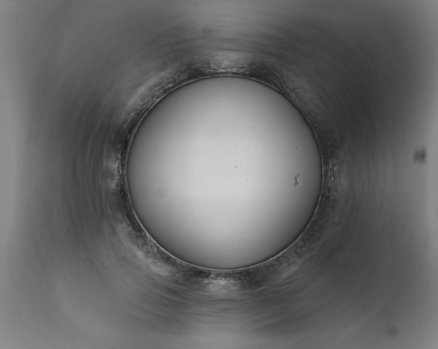 X0000111820741200907301256