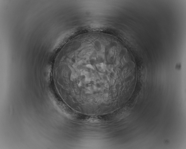 X0000111820742200907301256