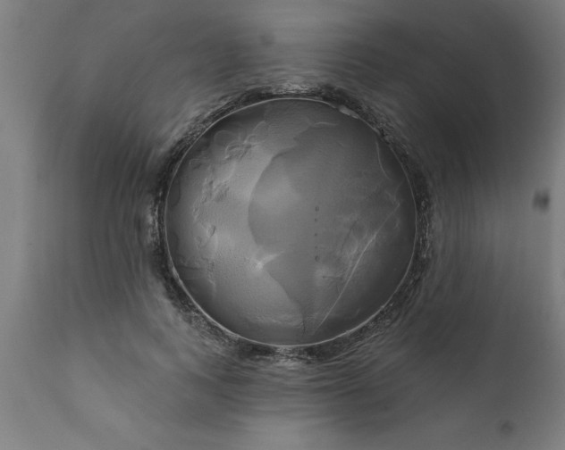 X0000111820743200907301256