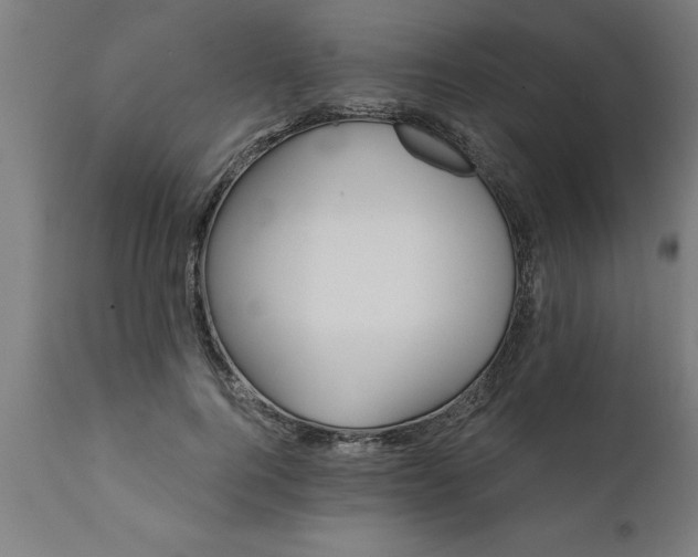 X0000111820744200907301256