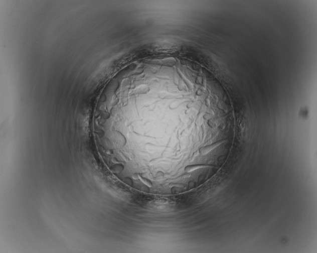 X0000111820745200907301256