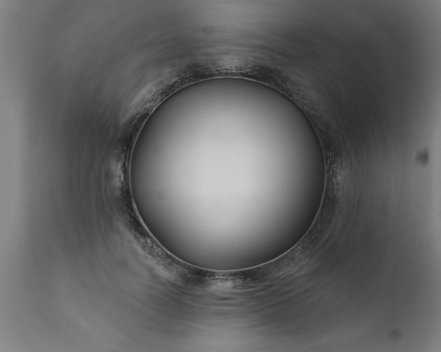 X0000111820746200907301256