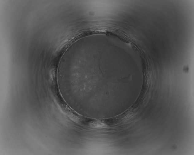 X0000111820747200907301256