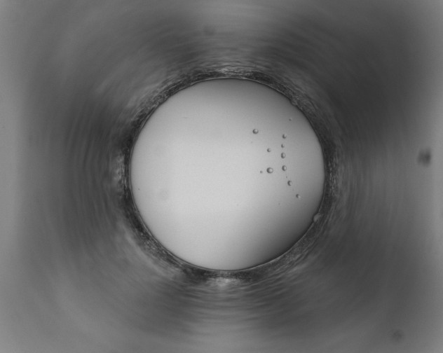 X0000111820748200907301256