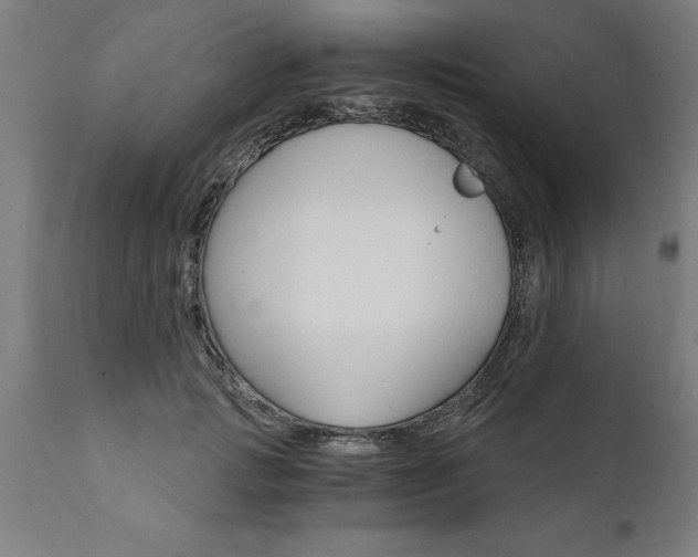 X0000111820749200907301256