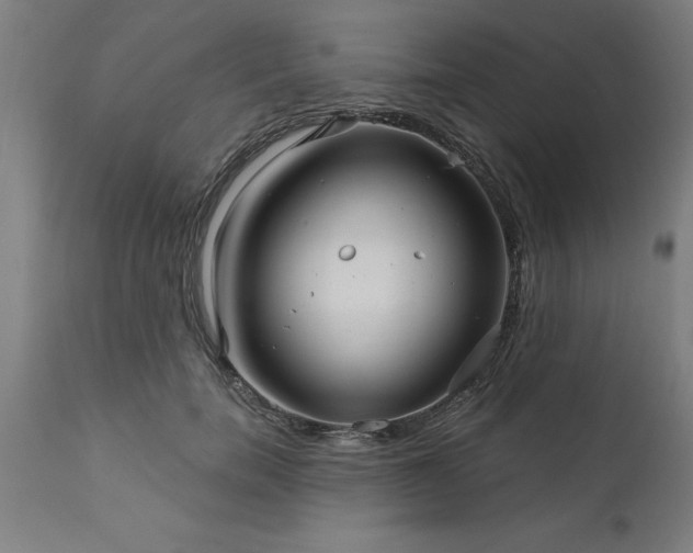 X0000111820750200907301256