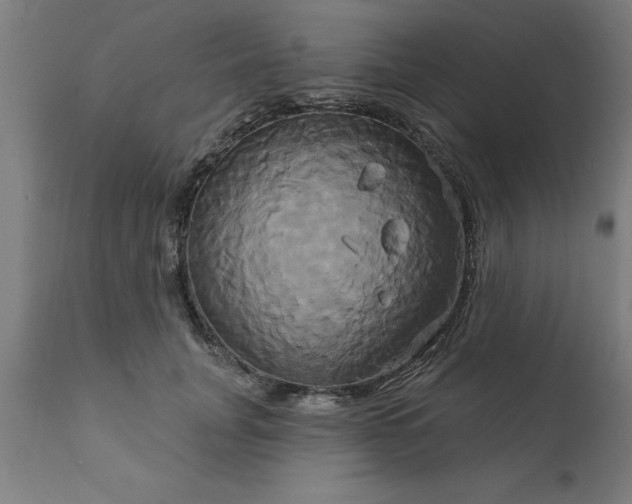 X0000111820751200907301256