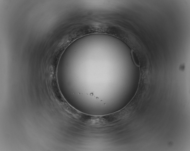 X0000111820752200907301256