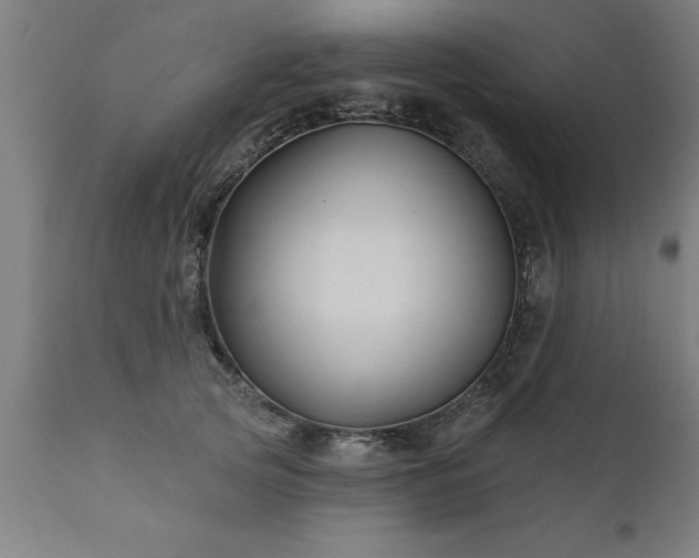 X0000111820753200907301256