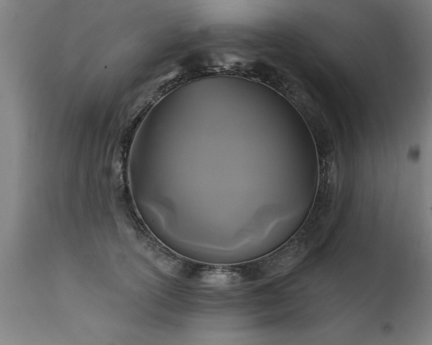 X0000111820754200907301256