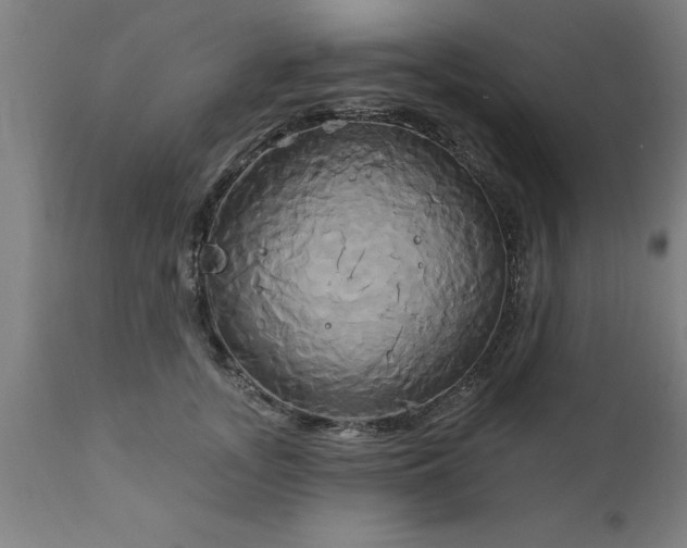 X0000111820755200907301256