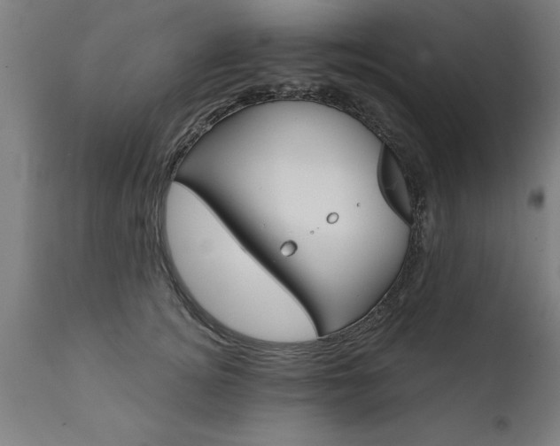 X0000111820756200907301256