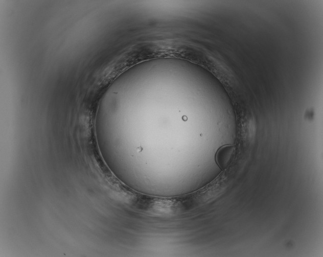 X0000111820757200907301256