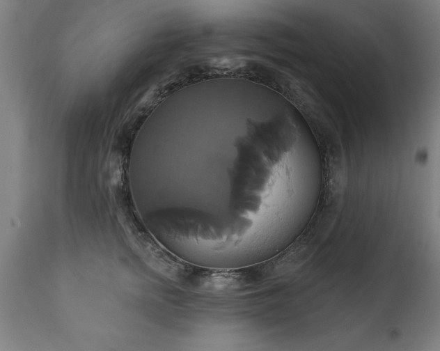 X0000111820758200907301257