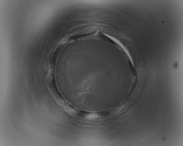 X0000111820759200907301257