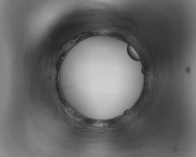 X0000111820760200907301257