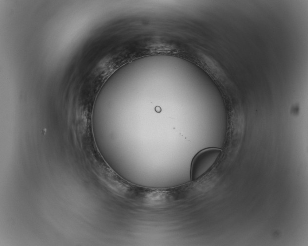 X0000111820761200907301257