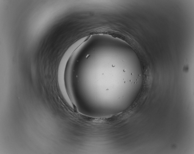 X0000111820762200907301257