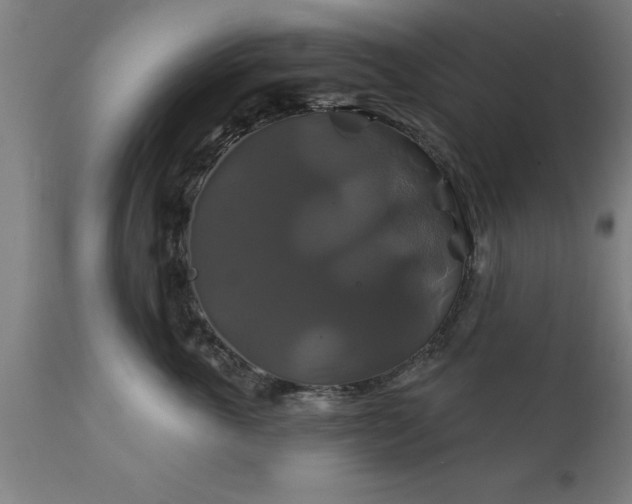 X0000111820763200907301257