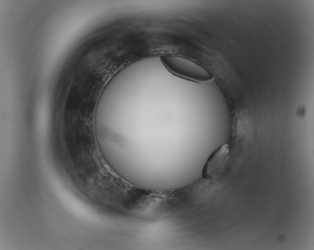 X0000111820764200907301257