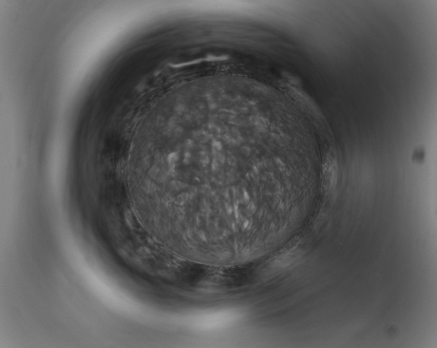 X0000111820765200907301257