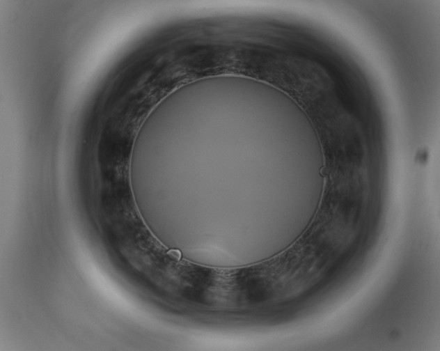 X0000111820766200907301257