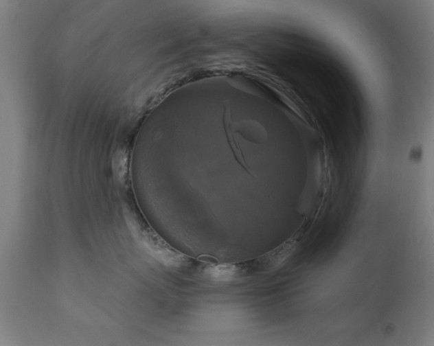 X0000111820767200907301257