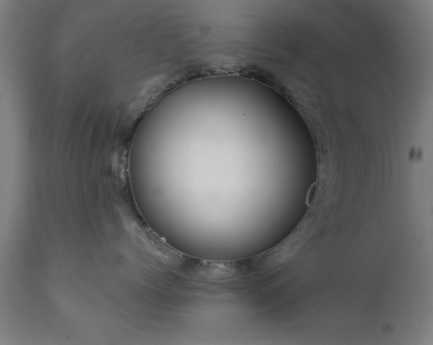 X0000111820768200907301257
