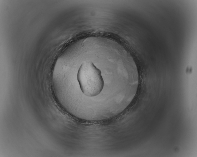 X0000111820769200907301256
