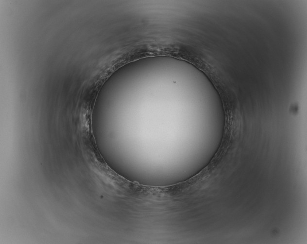 X0000111820770200907301256