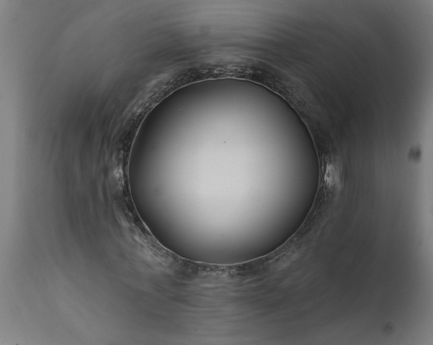 X0000111820771200907301256