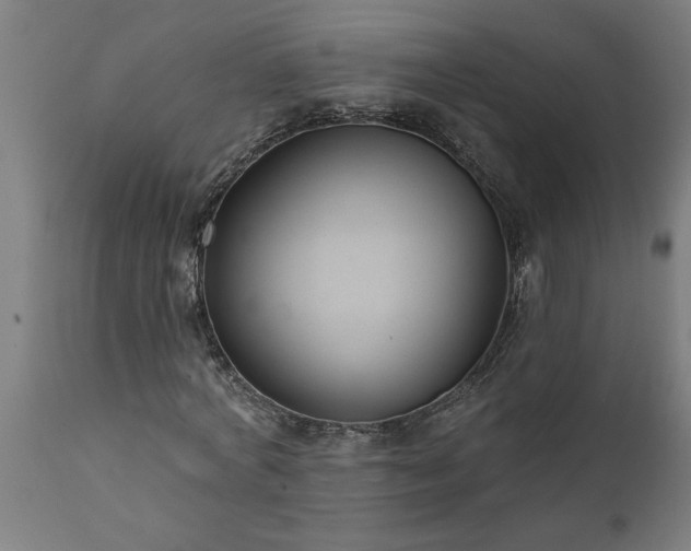 X0000111820772200907301256