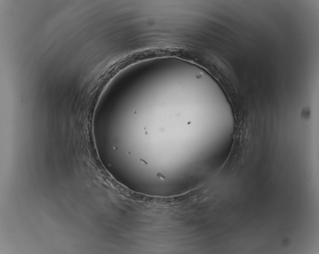 X0000111820773200907301256