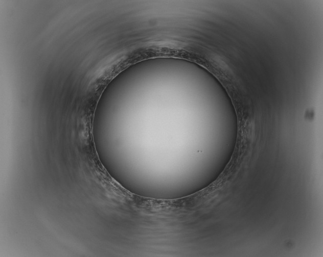 X0000111820774200907301256
