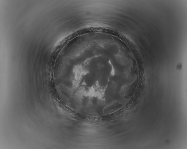 X0000111820775200907301256