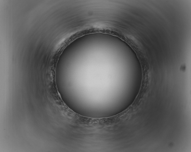 X0000111820776200907301256