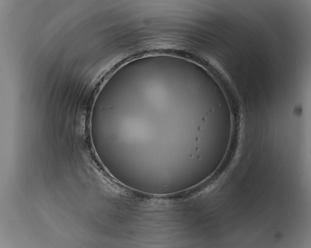 X0000111820777200907301256